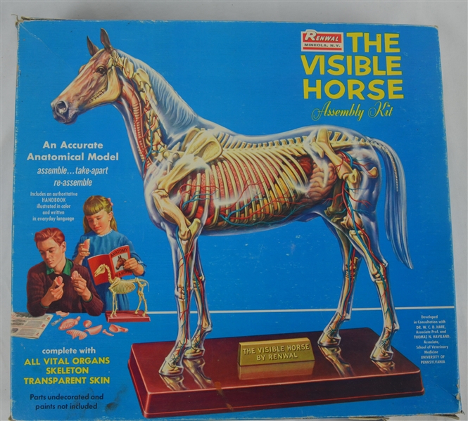 Vintage 1961 Renwal "The Visible Horse" Assembly Kit