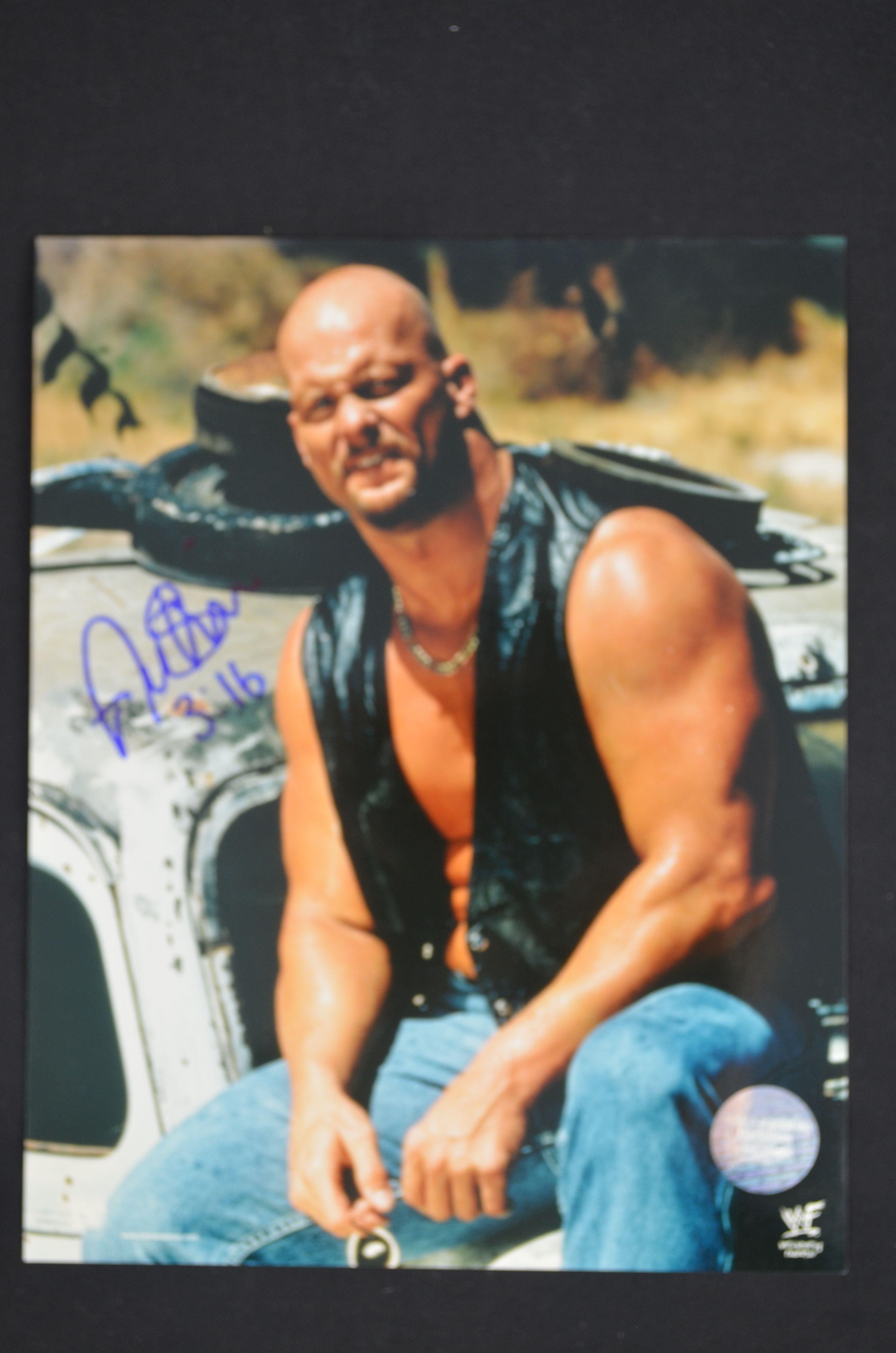 Lot Detail - Stone Cold Steve Austin Autographed 8X10 Photo