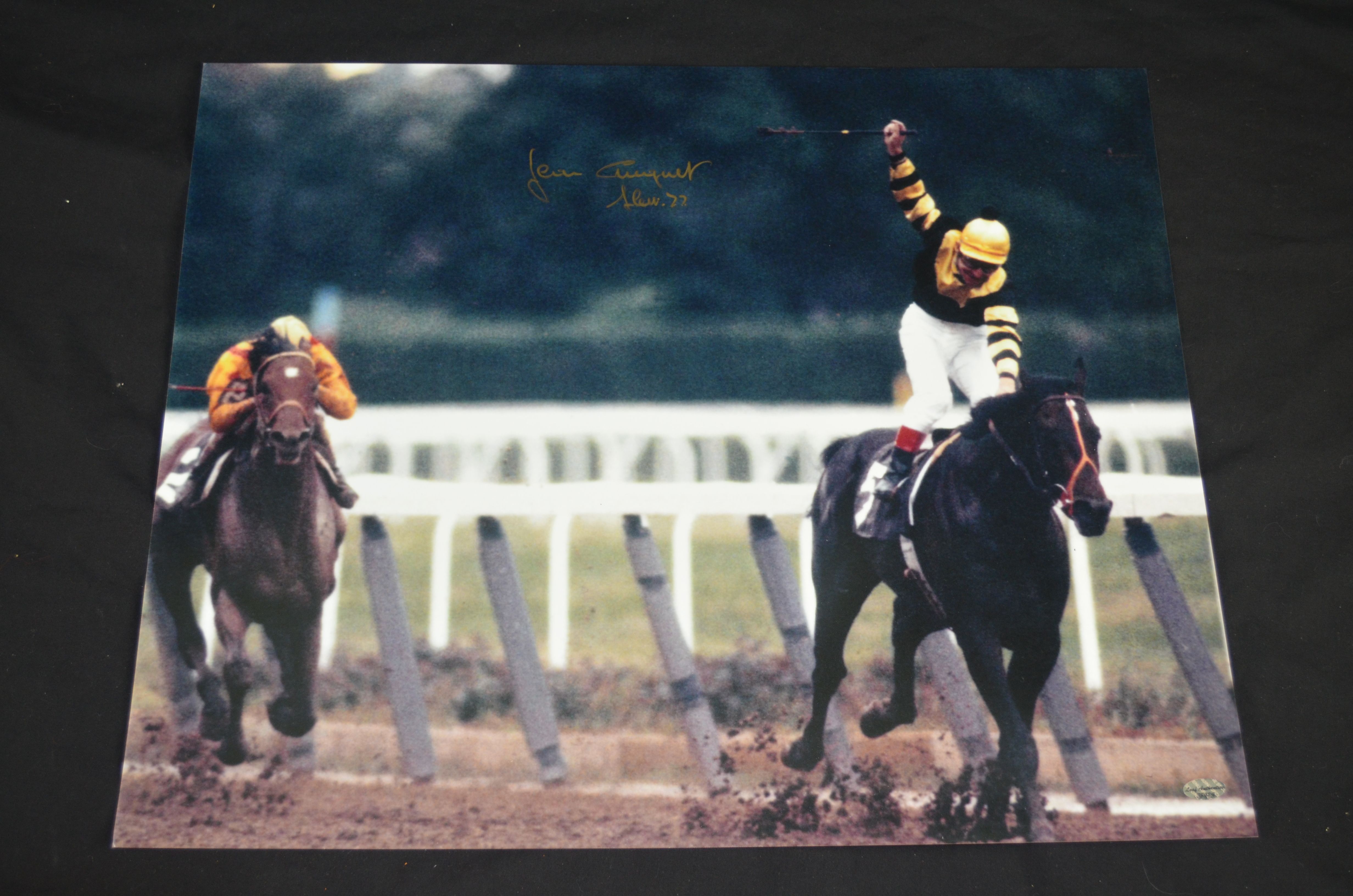 Lot Detail Seattle  Slew  Triple Crown 16x20 Photo Signed 