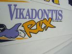 Minnesota Vikings Lot of 4 Vintage Pennants