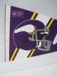 Minnesota Vikings Lot of 4 Vintage Pennants
