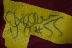 Junior Seau USC Trojans Autographed Jersey 