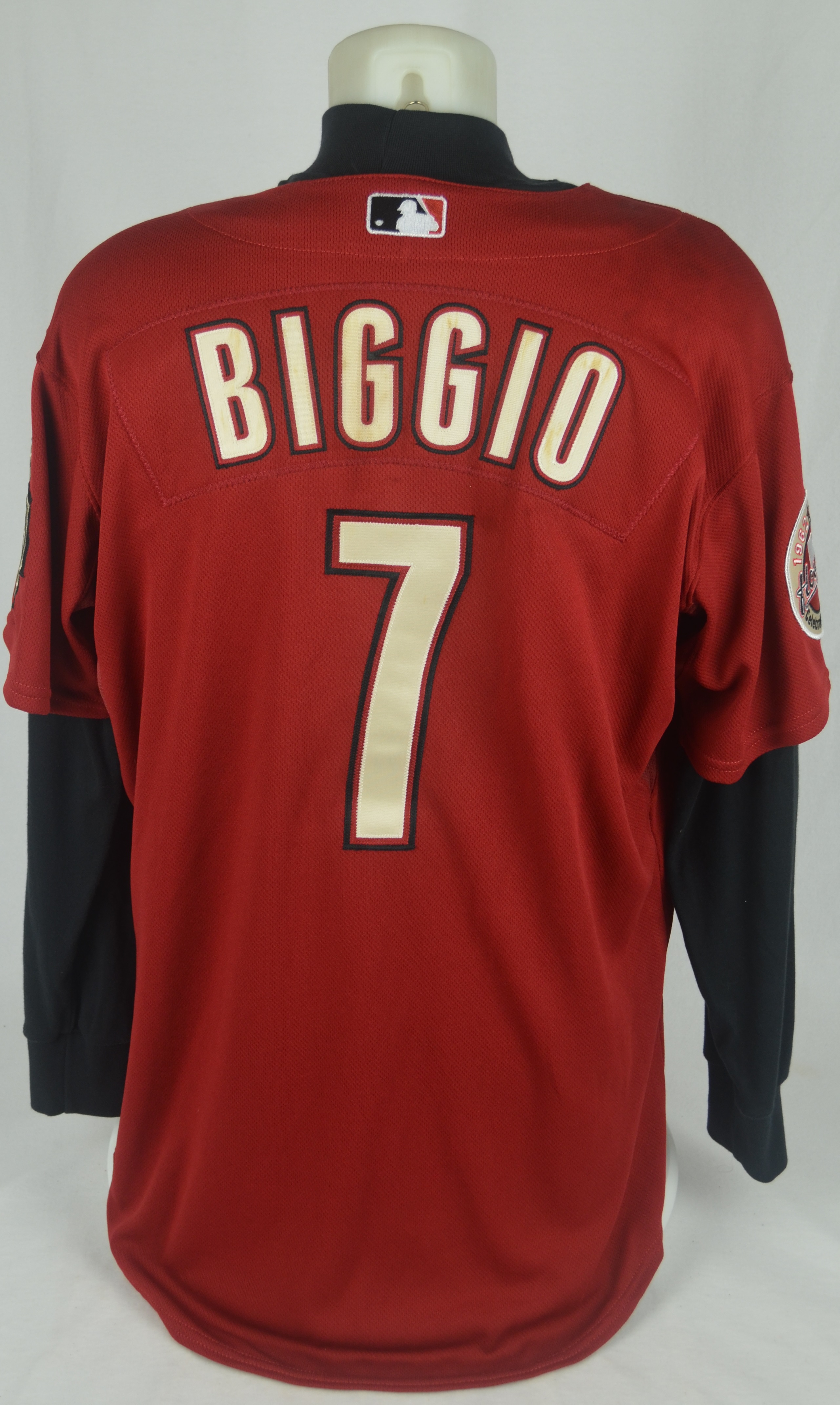 Lot Detail - Craig Biggio 2006 Houston Astros Game Used Jersey w/Dave  Miedema LOA