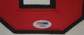 Scottie Pippen Autographed Chicago Bulls Jersey