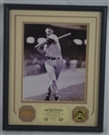 Ted Williams Game Used Bat Display by Highland Mint