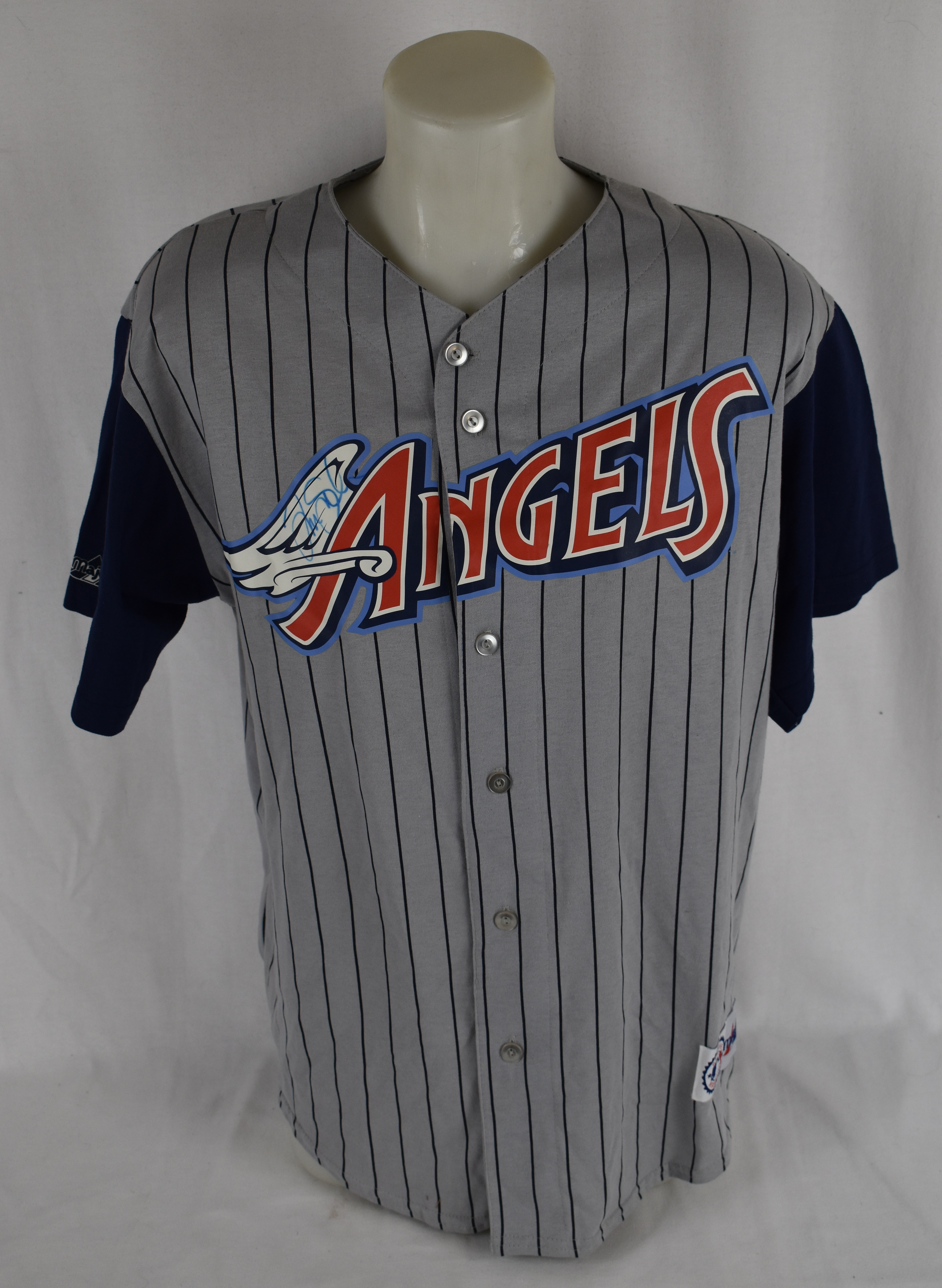 Lot Detail - Tim Salmon Autographed Angels Jersey