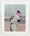 Ted Williams Autographed 16x20 Photo