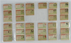 Vintage 1955 Topps Collection of 33 Baseball Cards
