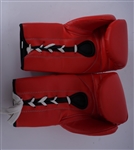 Set of 2 Muhammad Ali Center Boxing Gloves