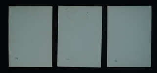 Minneapolis Millers Lot of 3 Original Photos