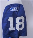 Peyton Manning 2001 Indianapolis Colts Game Used Jersey w/ Dave Miedema LOA