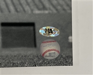 Boston Red Sox Autographed Ted Williams 16x20 Photo Signed by Ex-Sox Players