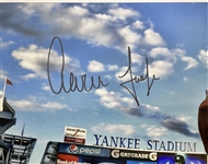 Aaron Judge Autographed & Framed 16x20 Photo MLB & Fanatics