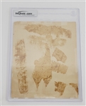 Shoeless Joe Jackson 1909-13 M101-2 #69 Sporting News Supplements BGS