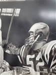 Jim Brown Autographed Original 40x40 James Fiorentino Watercolor Painting Framed 47x47 w/ Beckett LOA