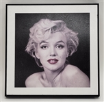 Marilyn Monroe Collection
